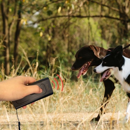 Ultrasonik Zarar Vermeyen Köpek Uzaklaştırıcı ve Eğitici Cihaz